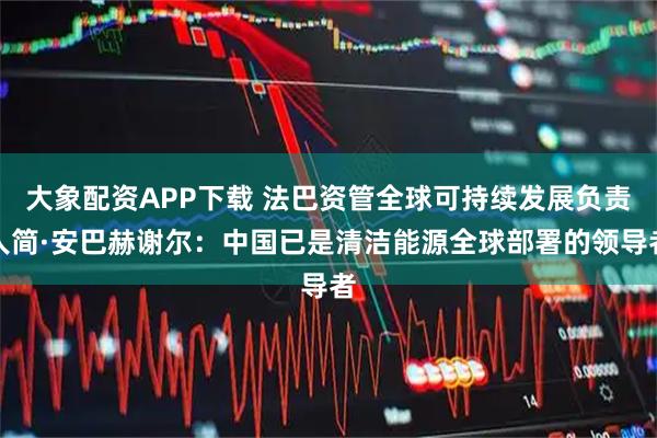 大象配资APP下载 法巴资管全球可持续发展负责人简·安巴赫谢尔：中国已是清洁能源全球部署的领导者
