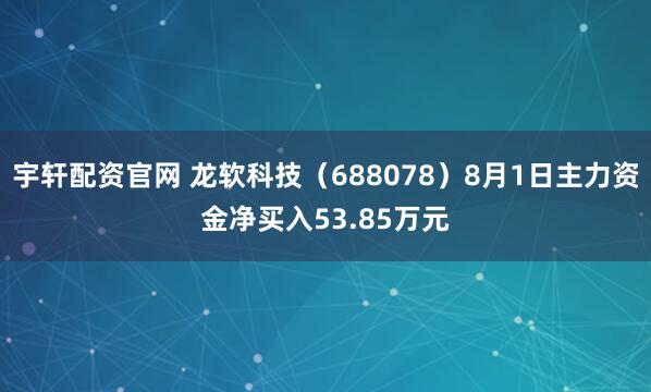 宇轩配资官网 龙软科技（688078）8月1日主力资金净买入53.85万元