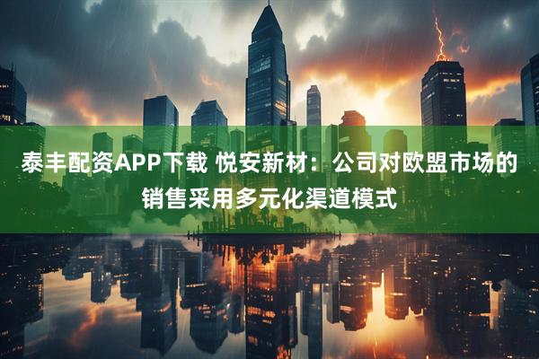 泰丰配资APP下载 悦安新材：公司对欧盟市场的销售采用多元化渠道模式