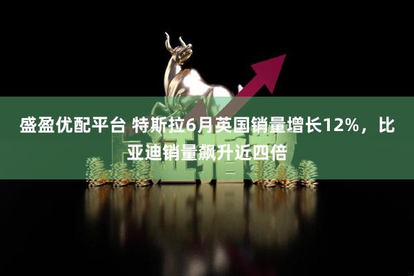 盛盈优配平台 特斯拉6月英国销量增长12%，比亚迪销量飙升近四倍